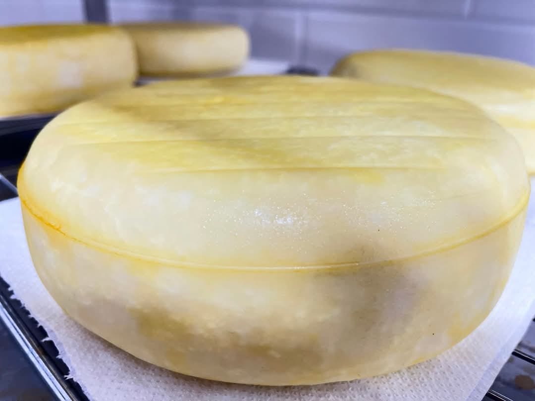 Brânză Handmade